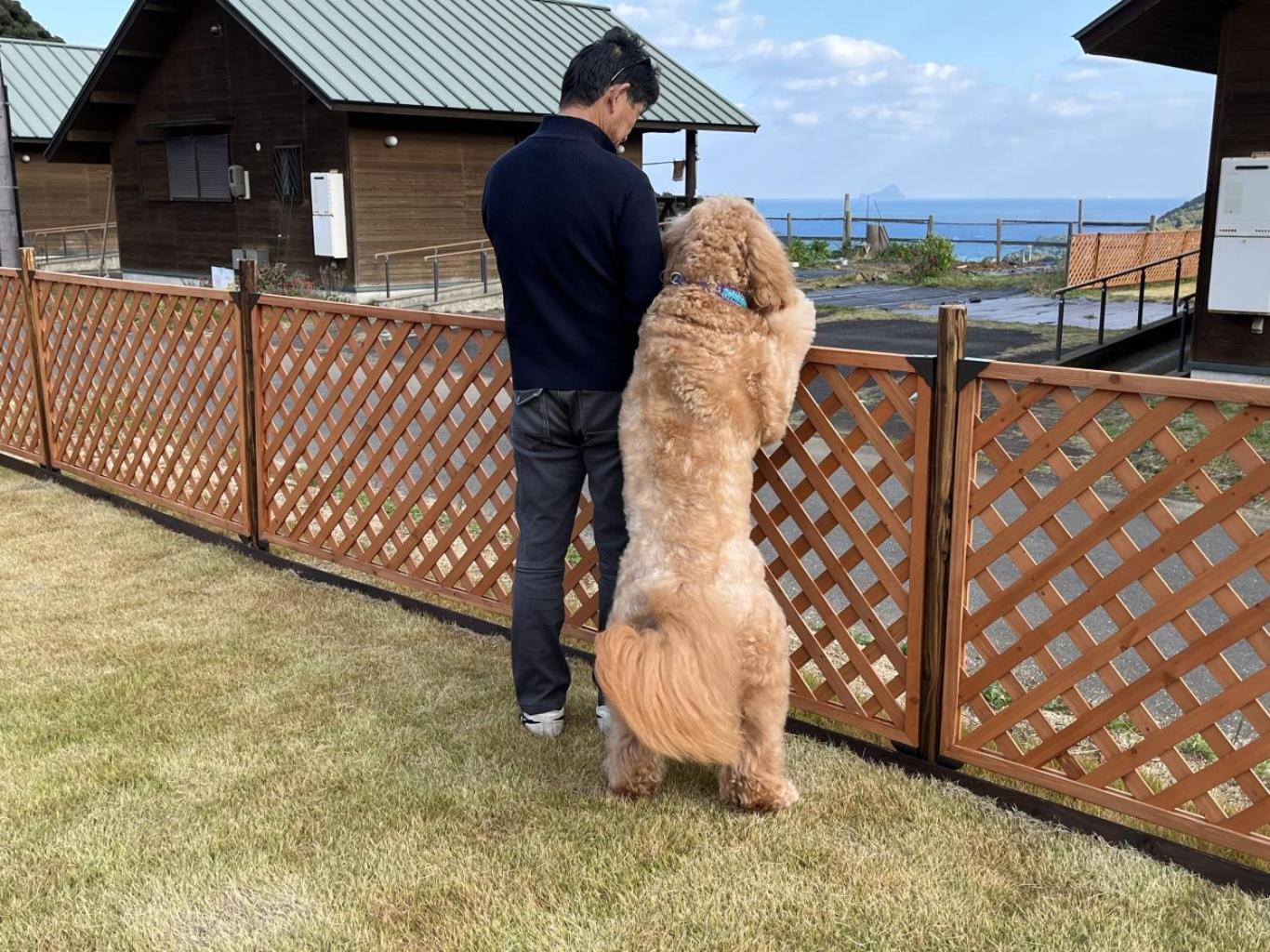 舞鶴ふるるファームコテージ Maizuru Bagian luar foto