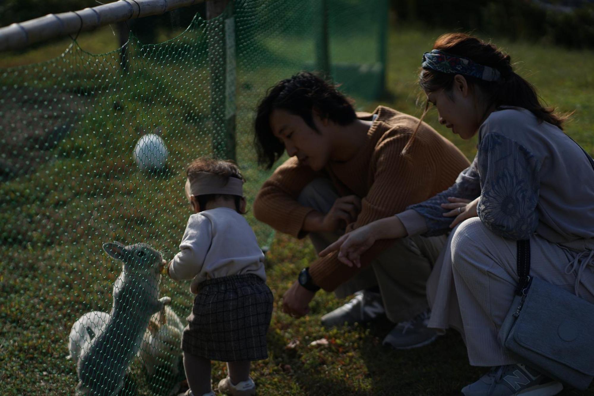 舞鶴ふるるファームコテージ Maizuru Bagian luar foto
